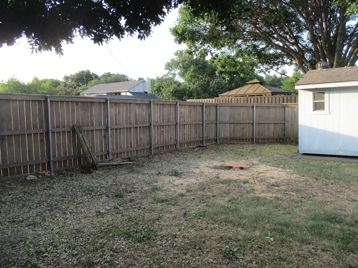 Cleared yard after professional tree removal in Twin Lake