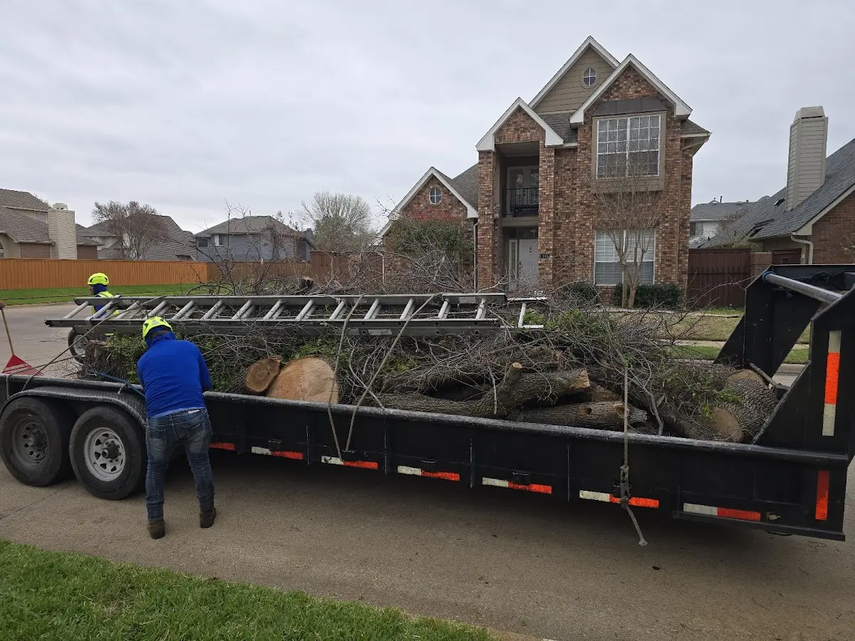 Expert Crown Reduction with proper safety equipment in Twin Lake